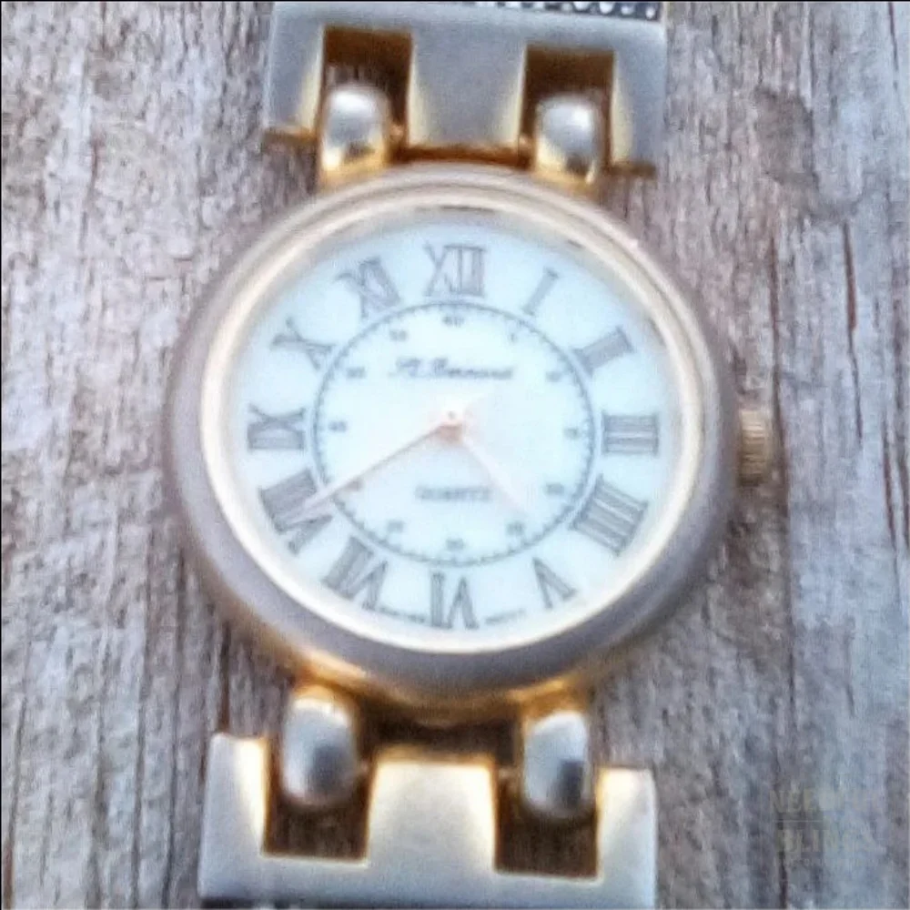 Vintage St. Bernard Silver-Tone Roman Dial Bracelet Watch
